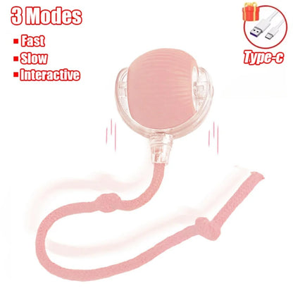 Interactive Smart Ball for Cats and Small Dogs - Rechargeable Automatic Rolling Pet Toy