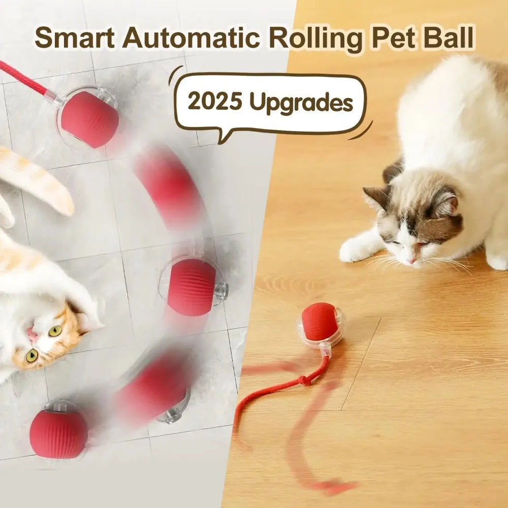 Interactive Smart Ball for Cats and Small Dogs - Rechargeable Automatic Rolling Pet Toy